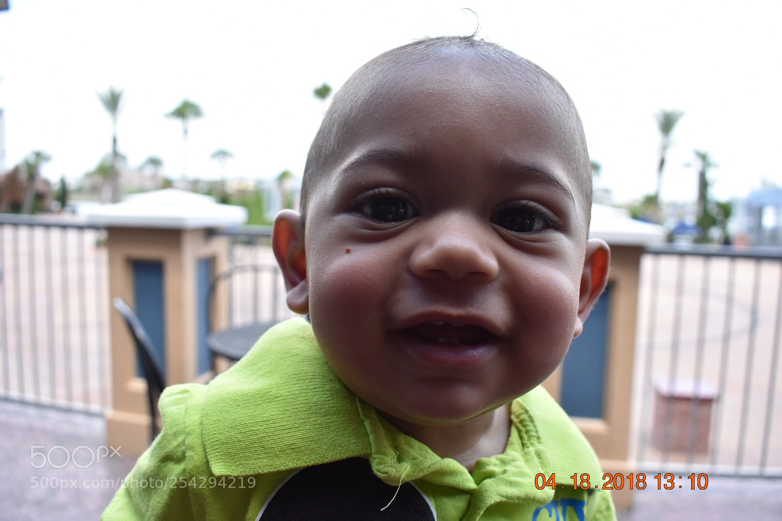 Nikon D3400 sample photo. Untitled photography