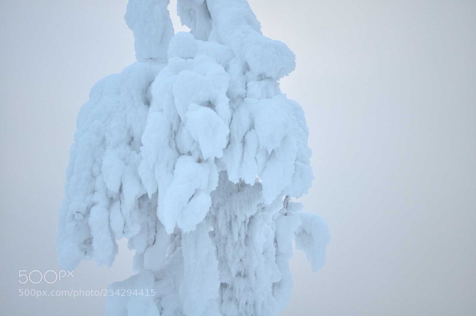 Nikon D5000 sample photo. Cold and hot photography