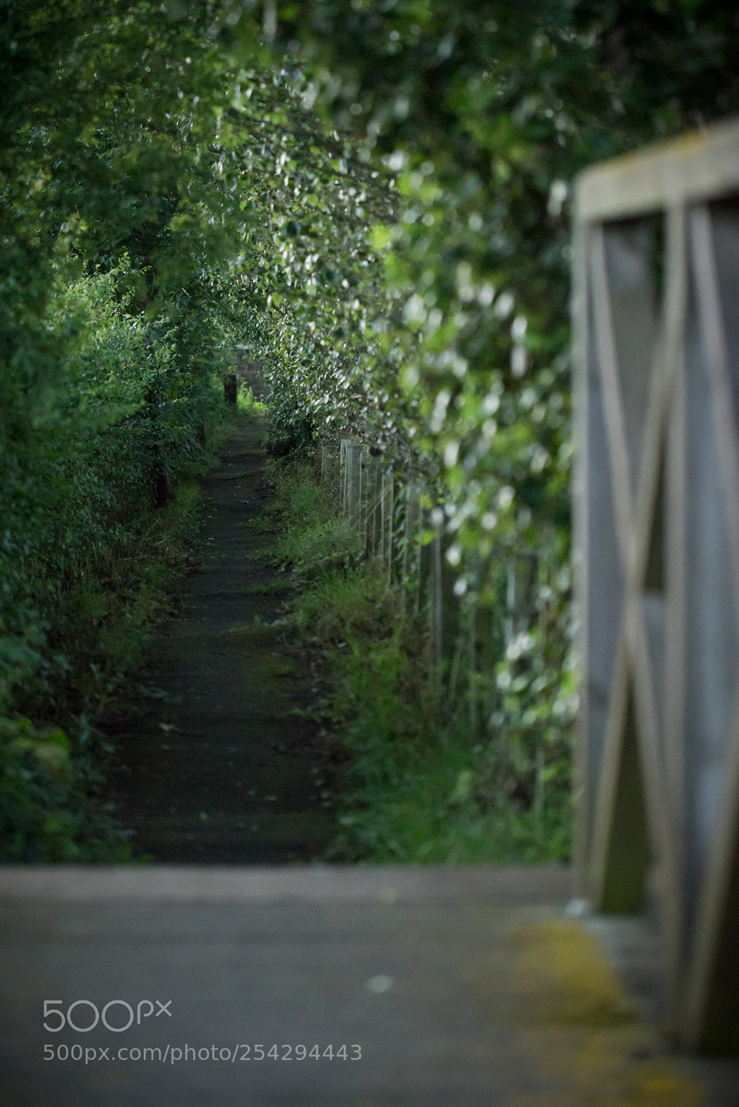 Sony a7R sample photo. I'm late! i'm late! photography