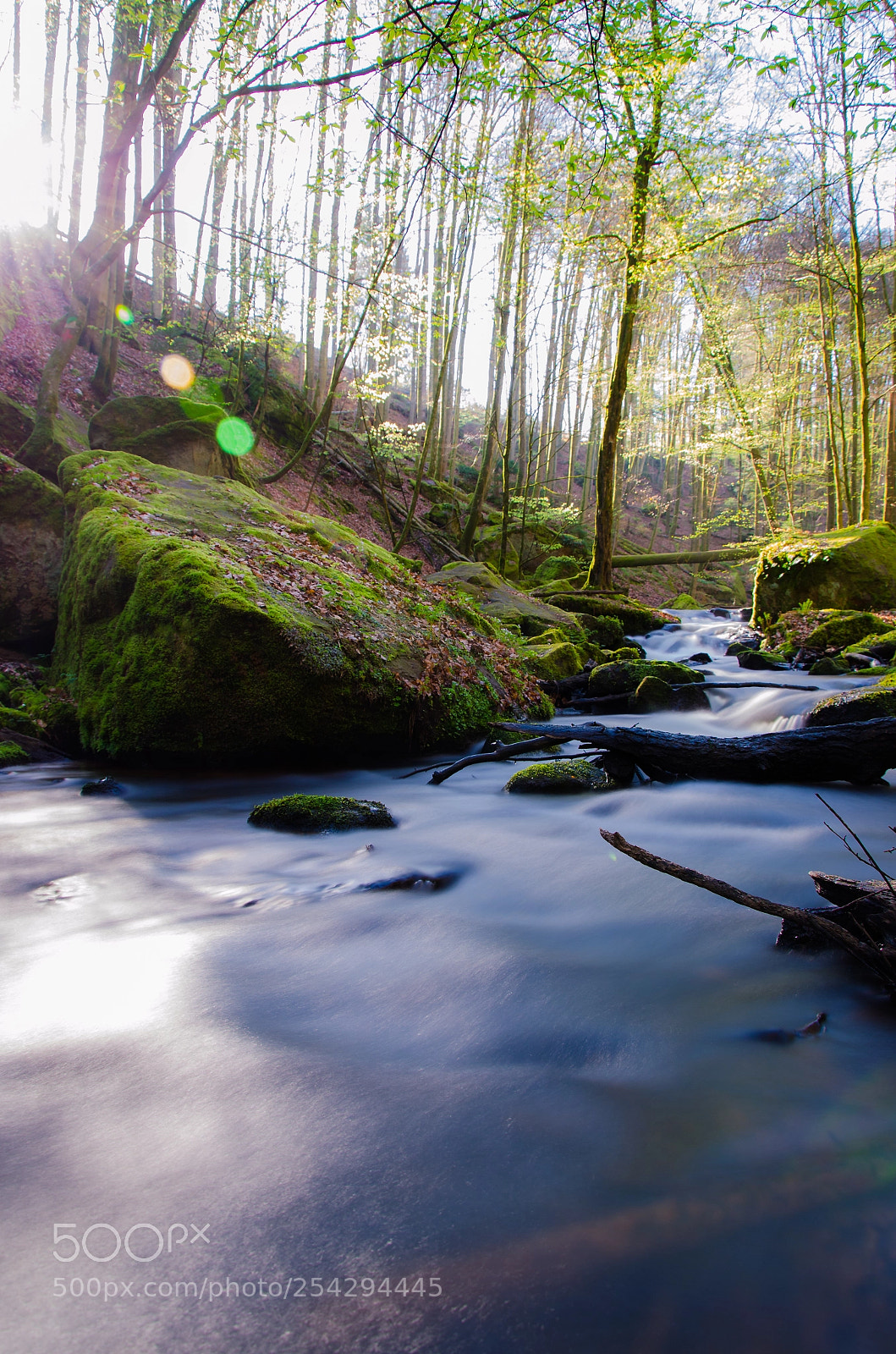 Nikon D5100 sample photo. Karlstalschlucht photography