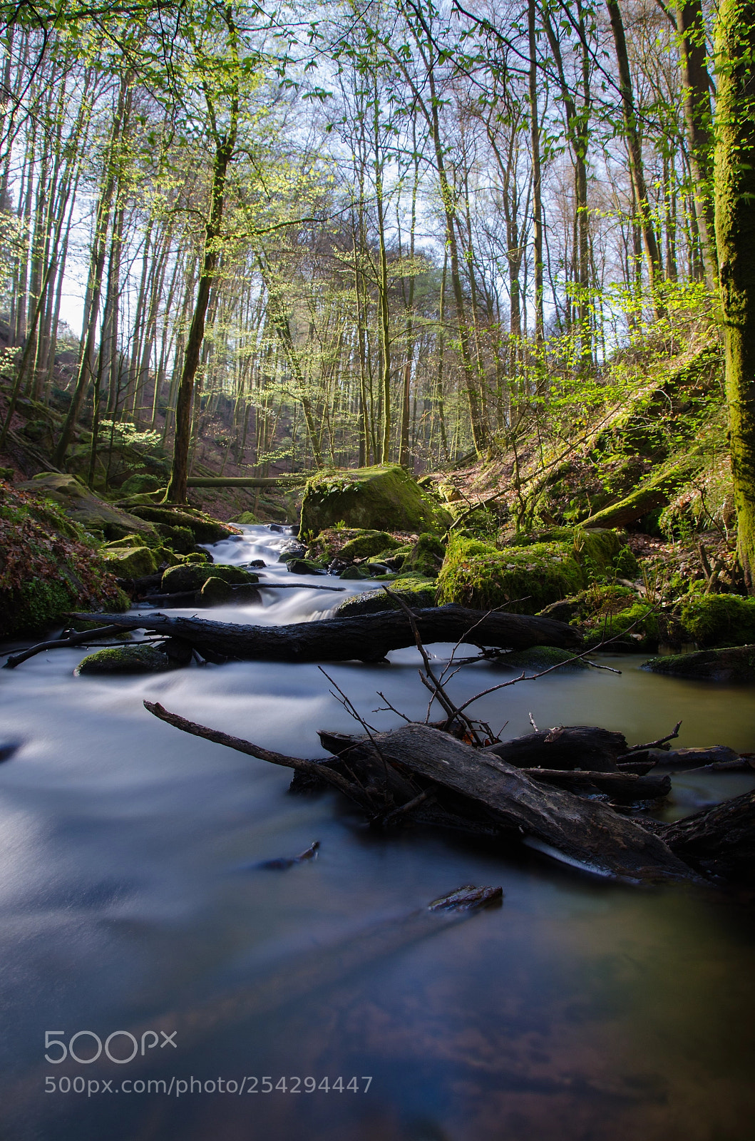Nikon D5100 sample photo. Karlstalschlucht photography