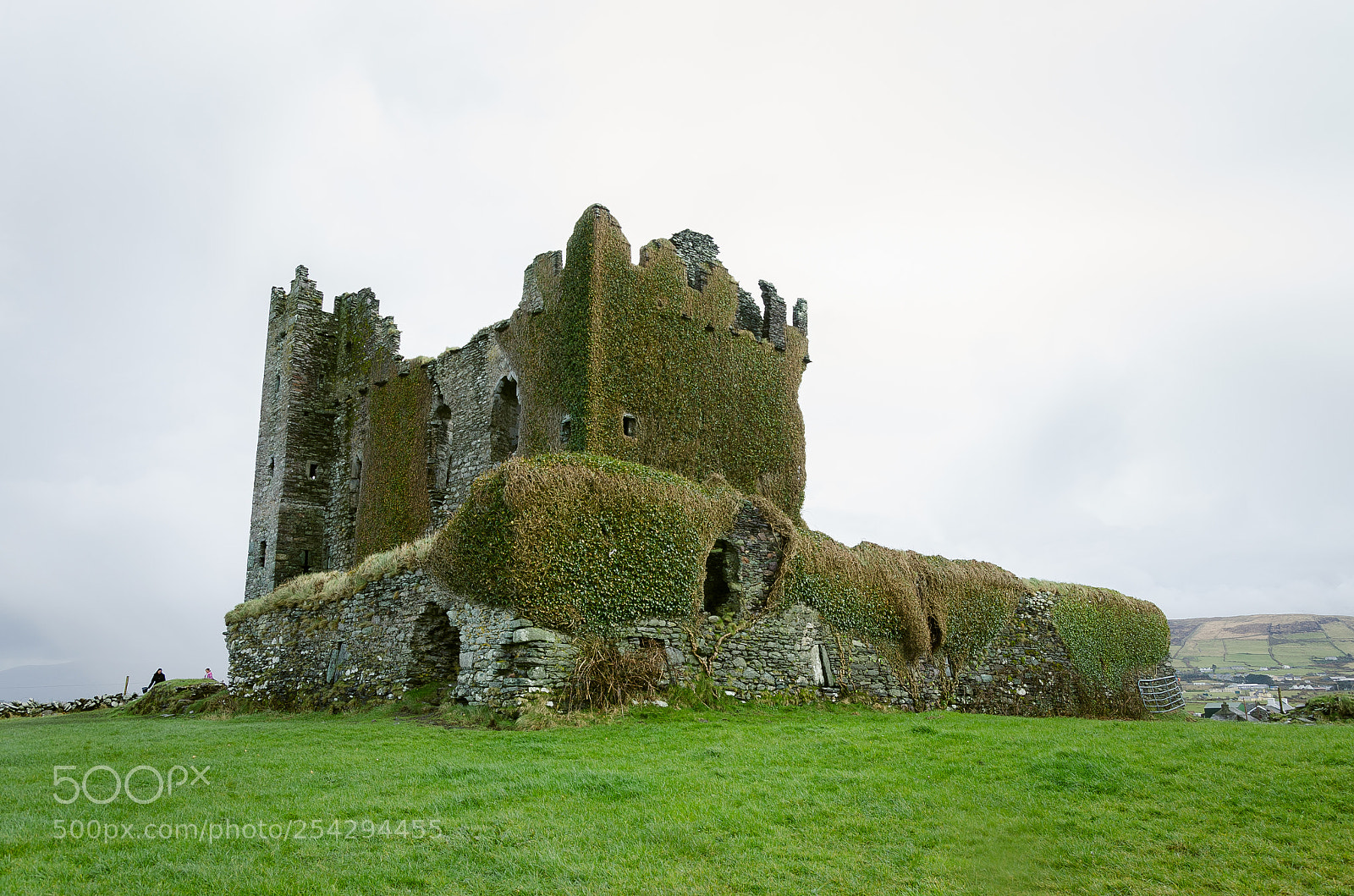 Nikon D5100 sample photo. Ring of kerry photography