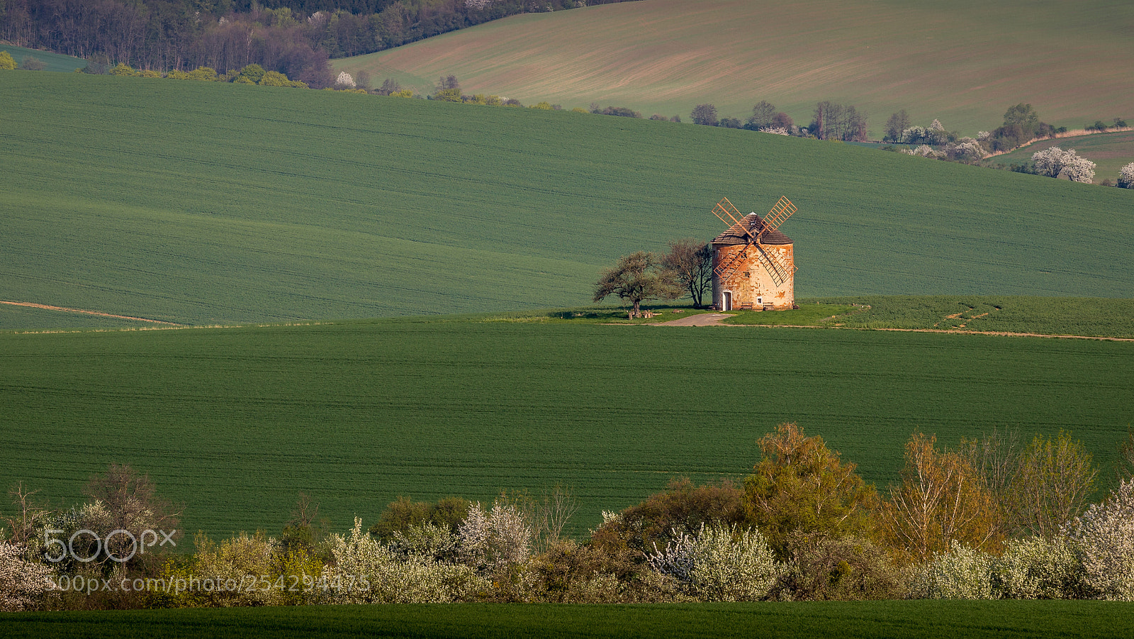 Canon EOS 6D Mark II sample photo. Moravian windmill vi photography