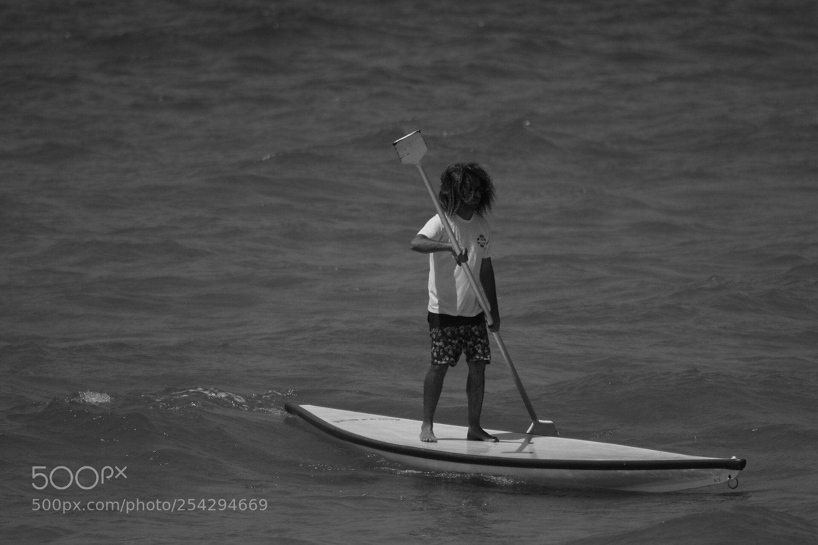Canon EOS 80D sample photo. Untitled photography