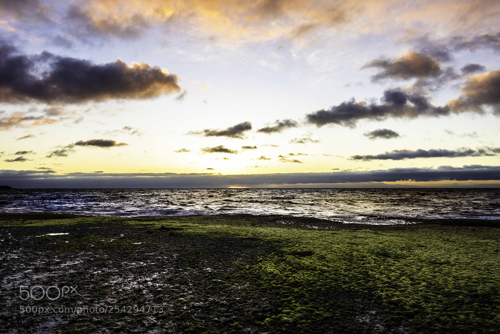 Nikon D7200 sample photo. Ya llega el sol photography