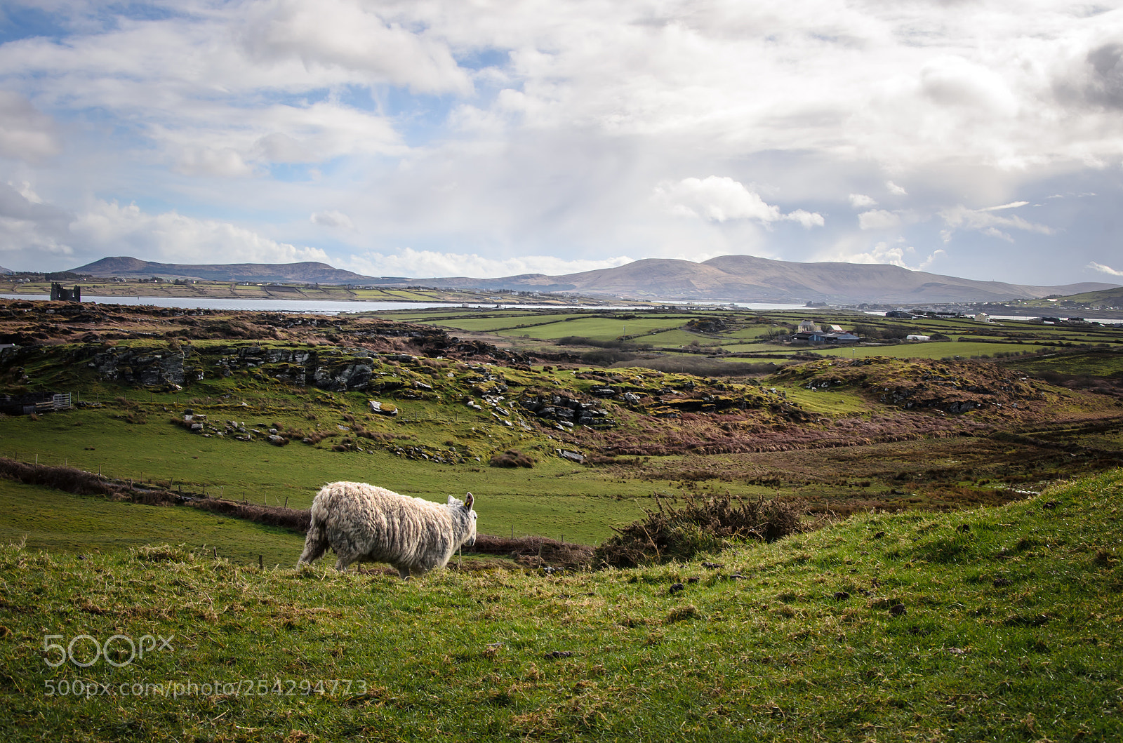 Nikon D5100 sample photo. Ring of kerry photography