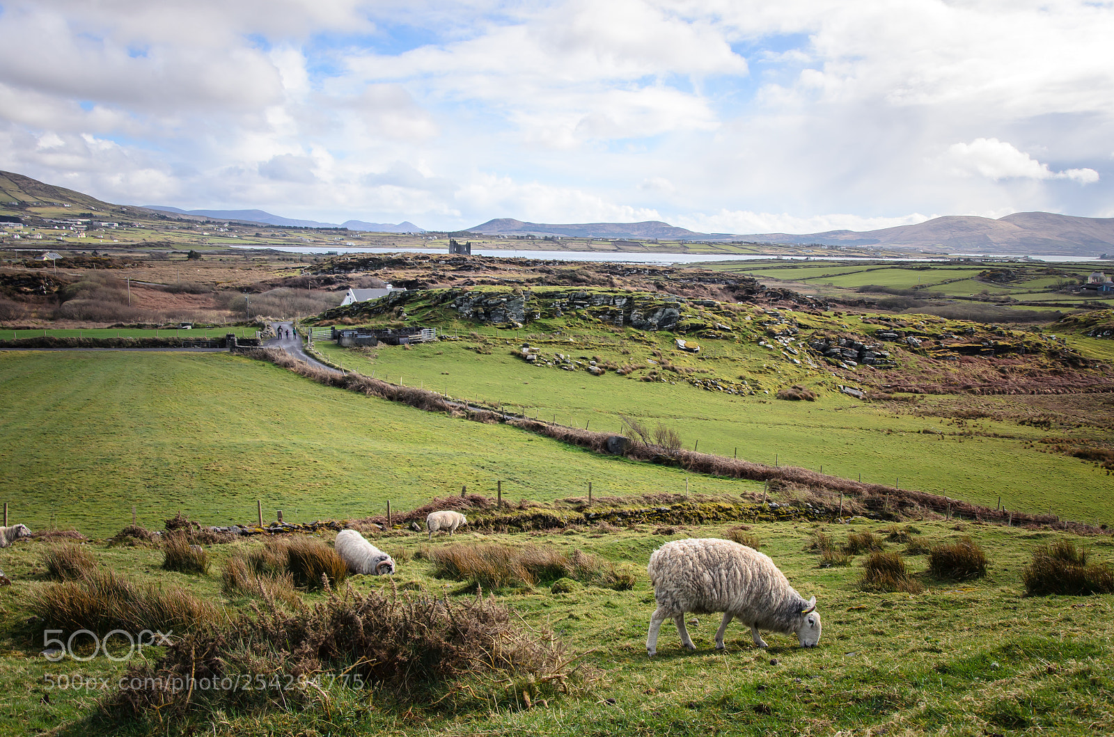 Nikon D5100 sample photo. Ring of kerry photography