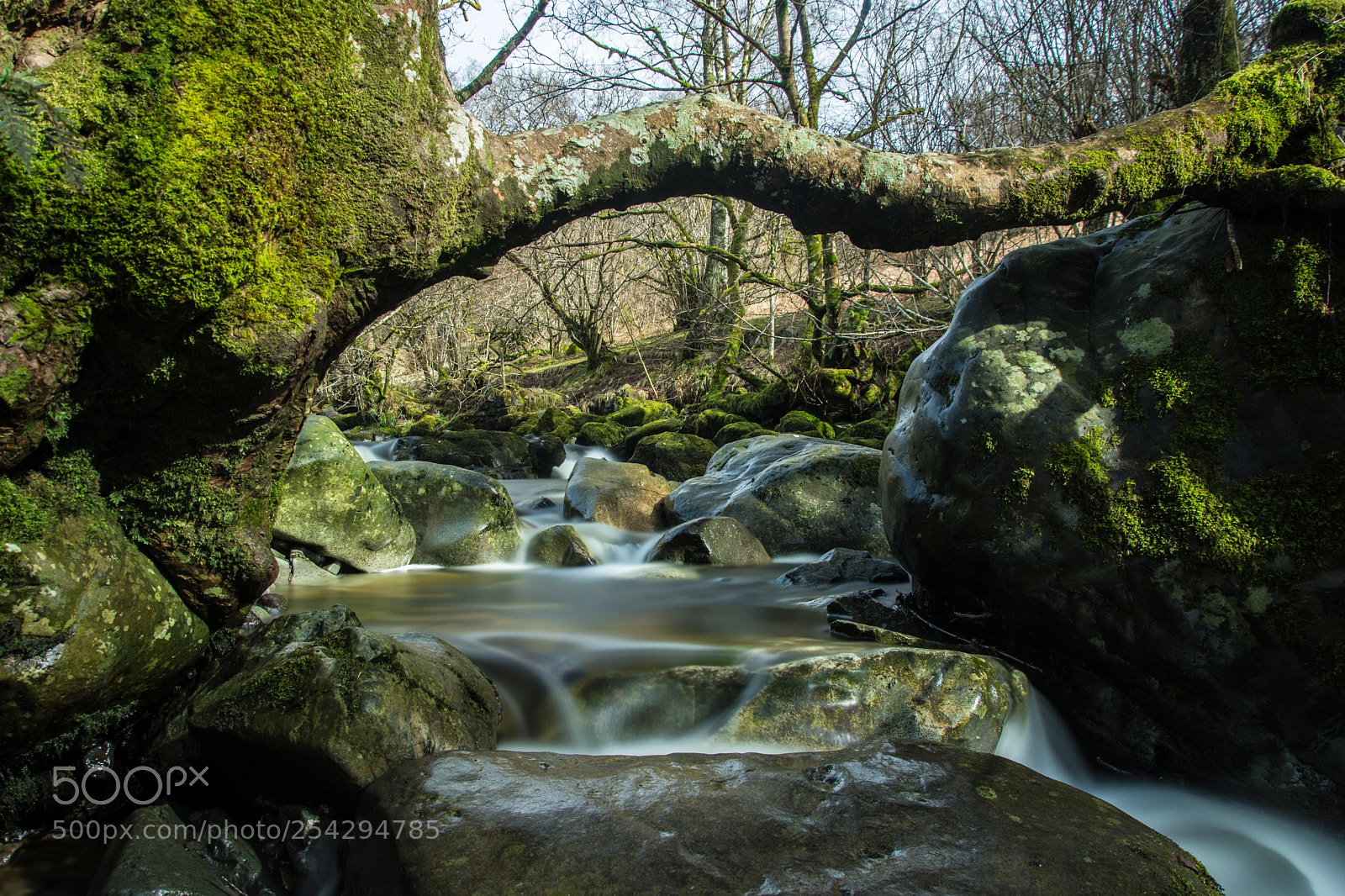 Nikon D7200 sample photo. Water under the bridge photography