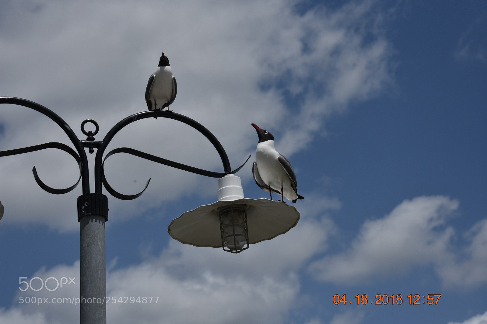 Nikon D3400 sample photo. Untitled photography