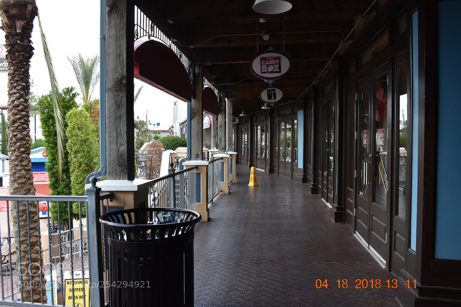 Nikon D3400 sample photo. Untitled photography