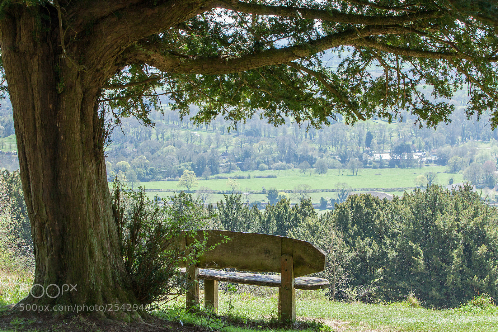 Canon EOS 5D Mark II sample photo. The view photography