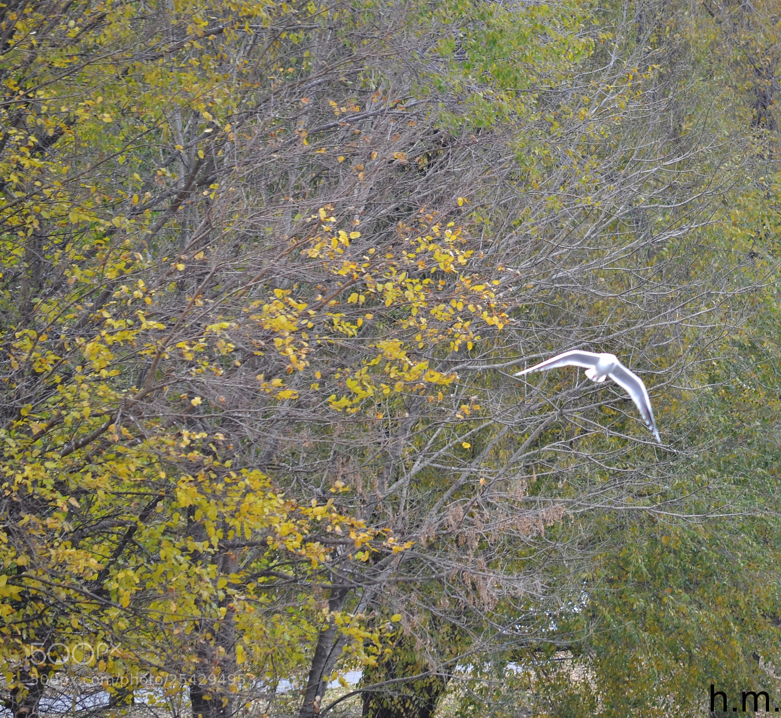 Nikon D3100 sample photo. Ddbfo photography