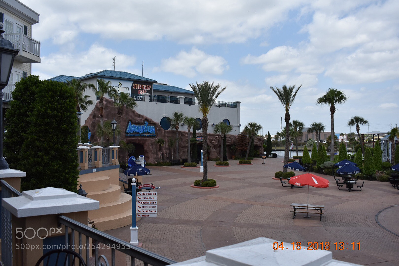 Nikon D3400 sample photo. Untitled photography