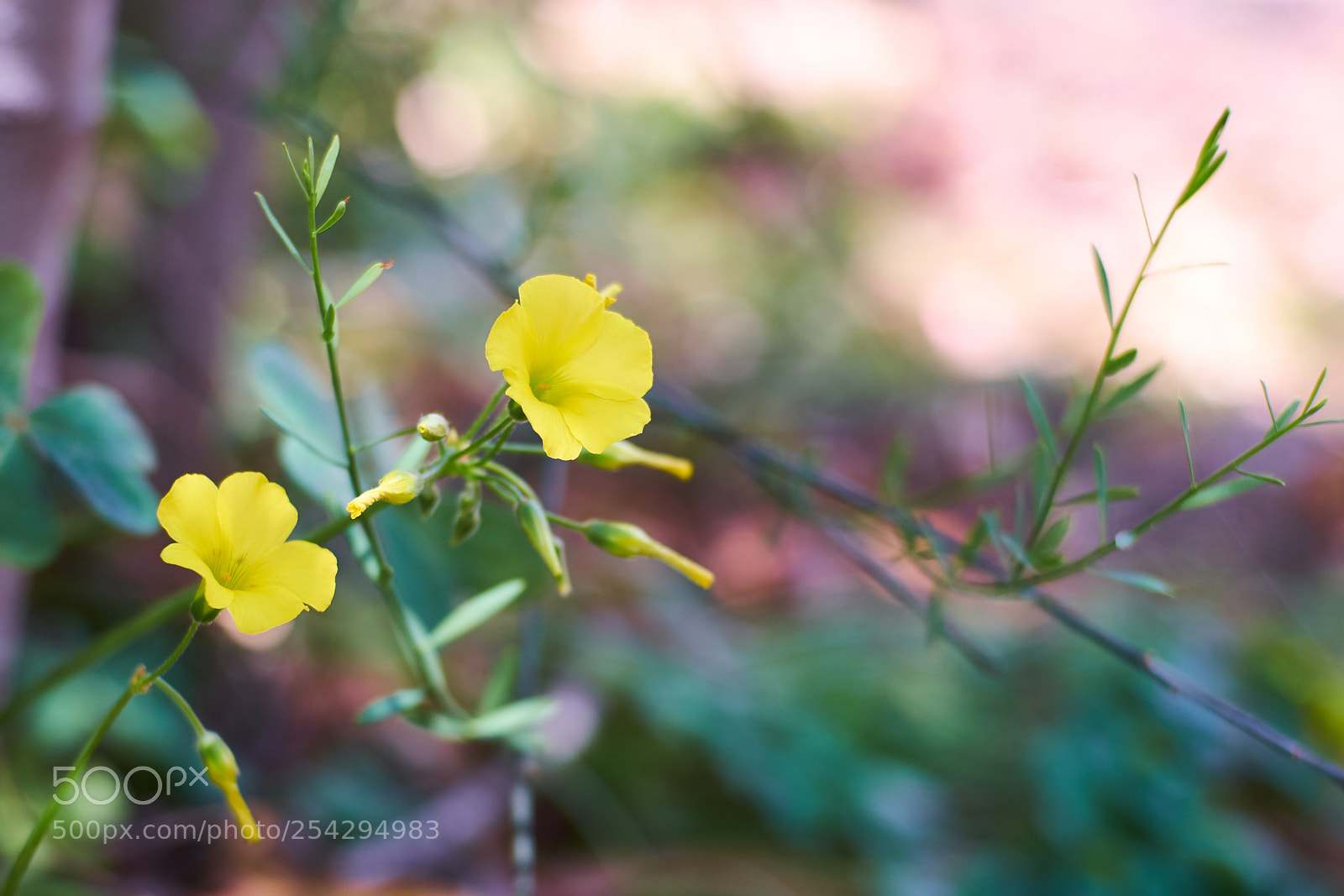 Fujifilm X-E1 sample photo. Untitled photography
