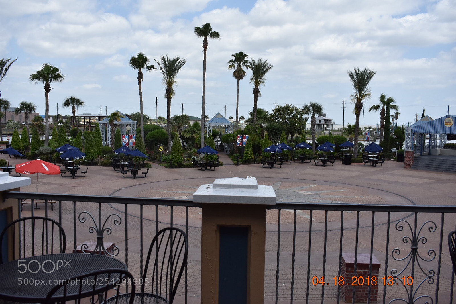 Nikon D3400 sample photo. Untitled photography