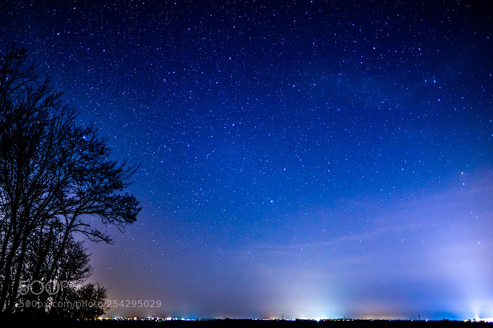 Sony a7 II sample photo. Starry night photography