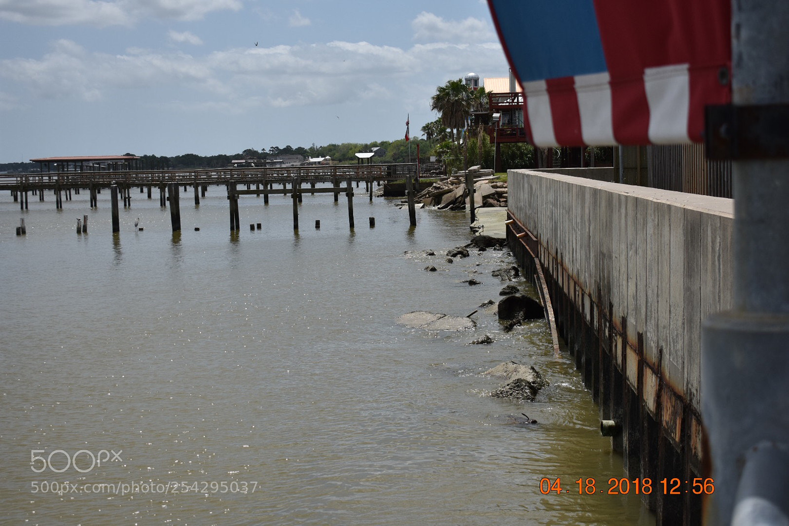 Nikon D3400 sample photo. Untitled photography