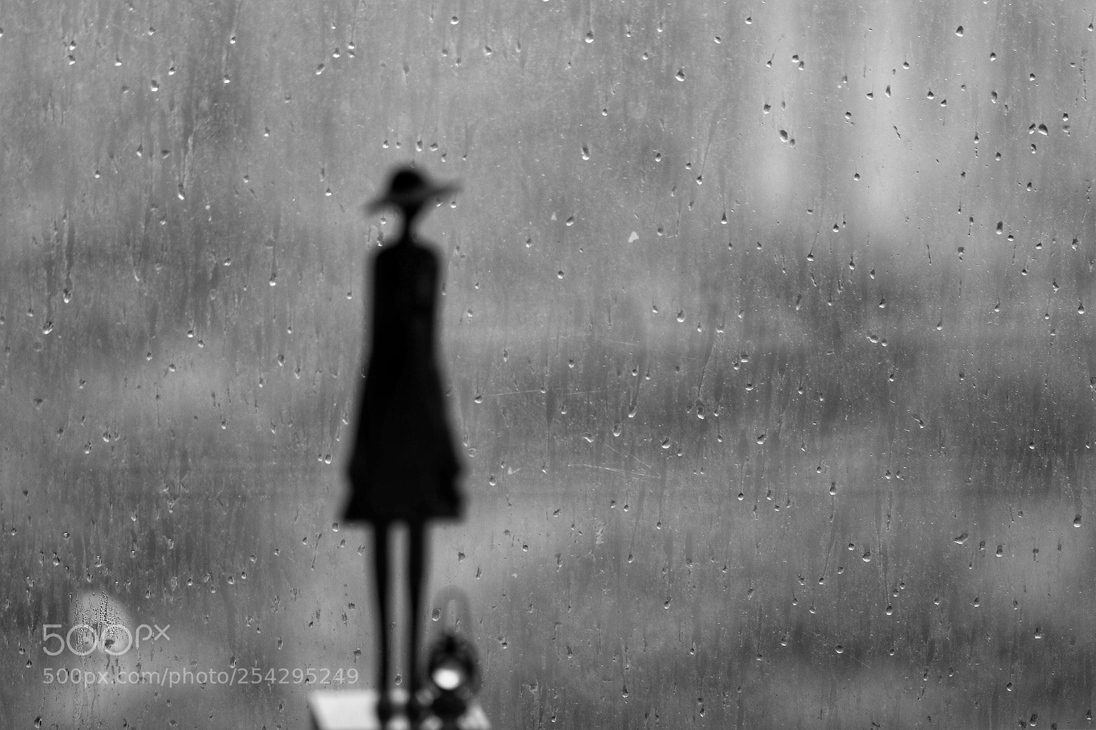 Canon EOS 5D Mark IV sample photo. Spring rain photography