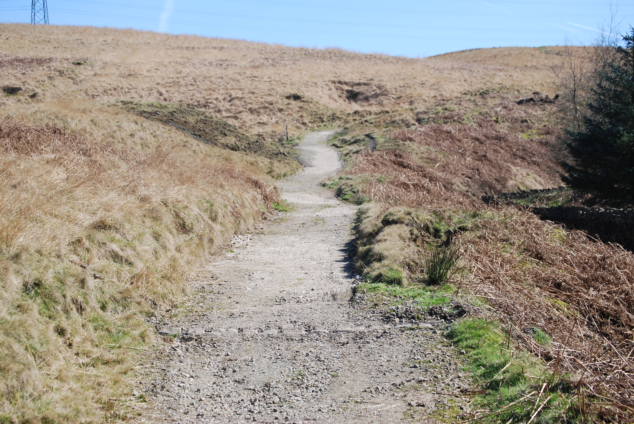 Nikon D40X sample photo. The footpath photography
