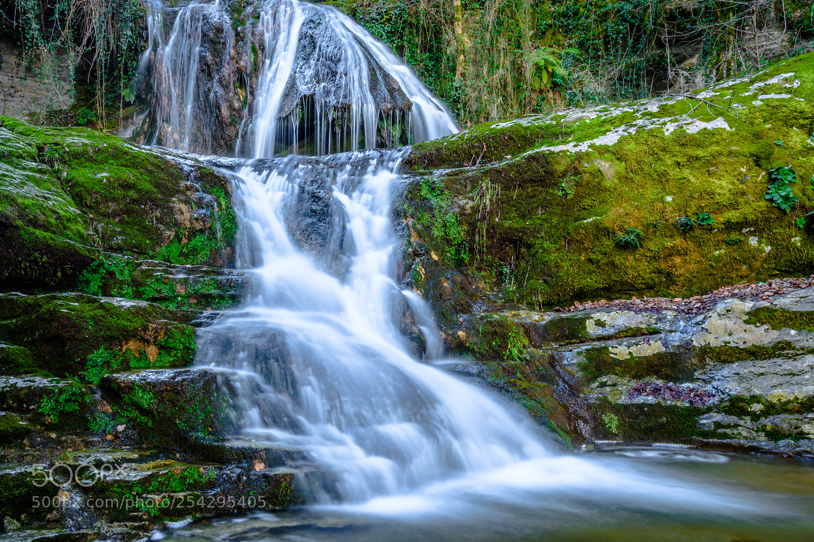 Nikon D7200 sample photo. Lost in the wild photography