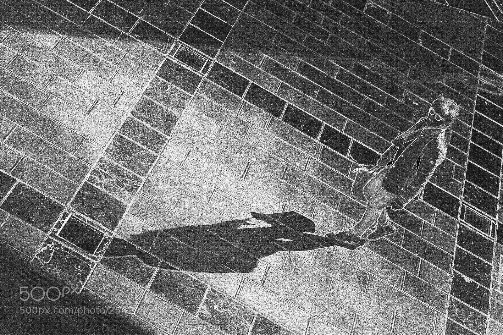 Fujifilm X-T1 sample photo. Anomaly to the geometric photography