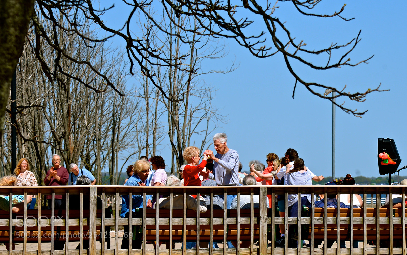 Nikon D600 sample photo. Dancing on the boardwalk photography