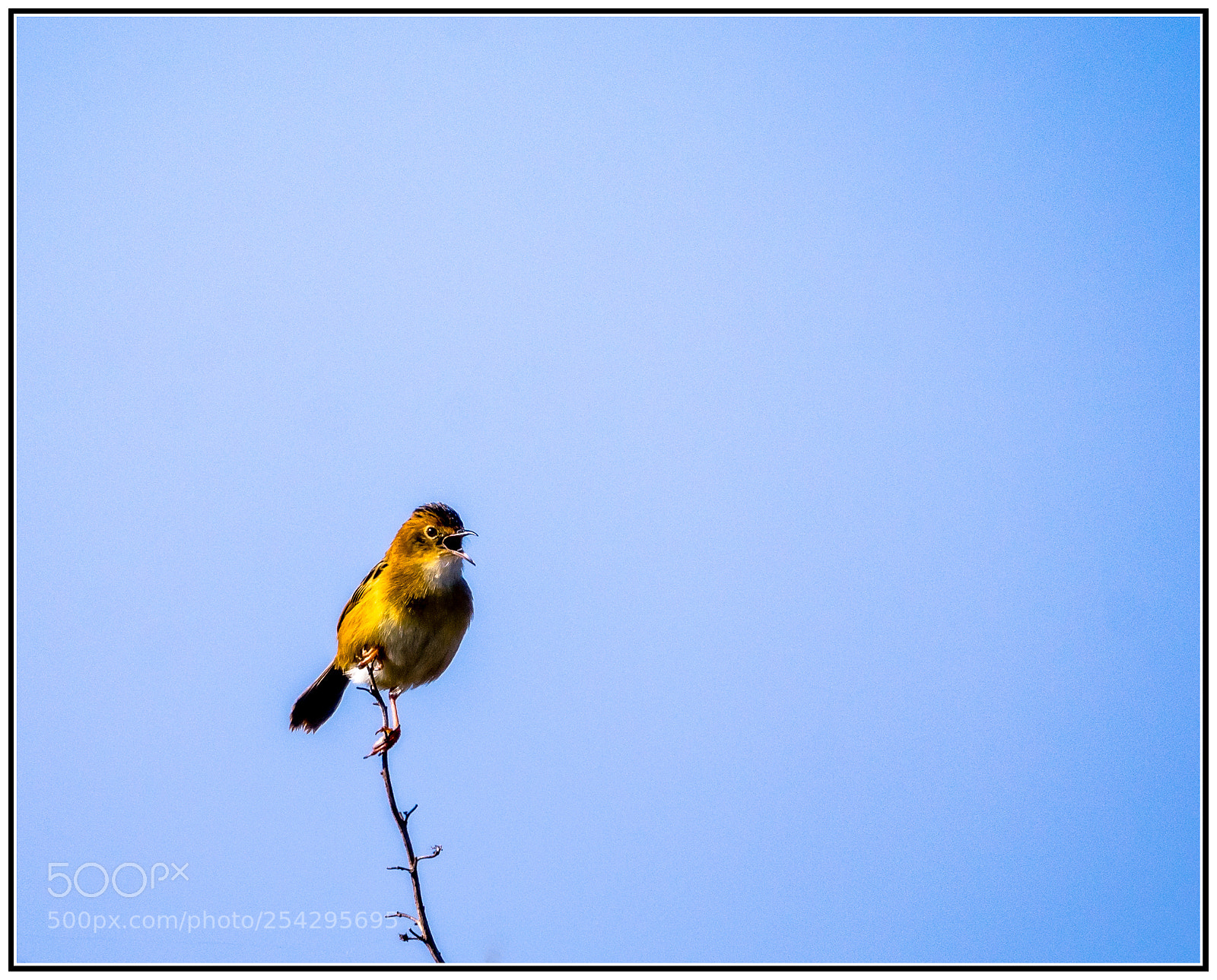 Nikon D7200 sample photo. Always got something to photography