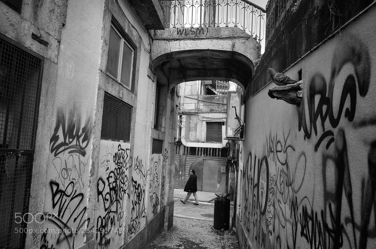 Ricoh GR sample photo. The passage photography