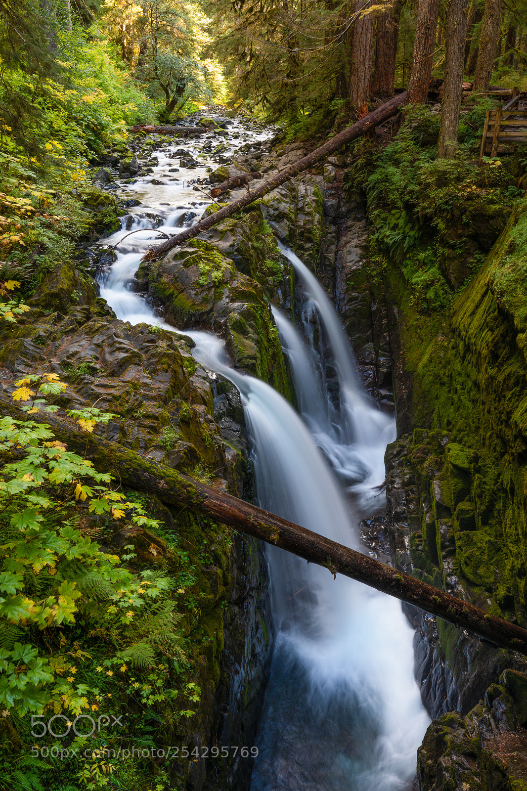 Canon EOS 5D Mark IV sample photo. Sol duc falls photography