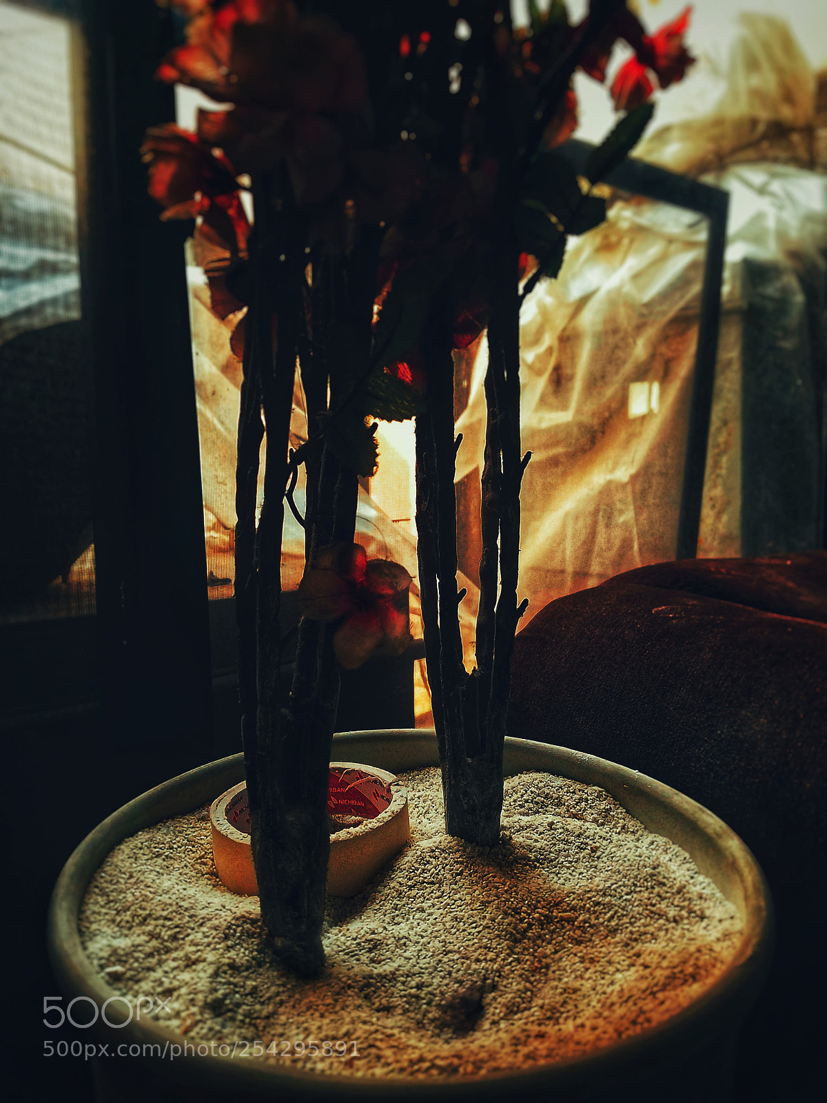 Samsung Galaxy S7 sample photo. Untitled photography