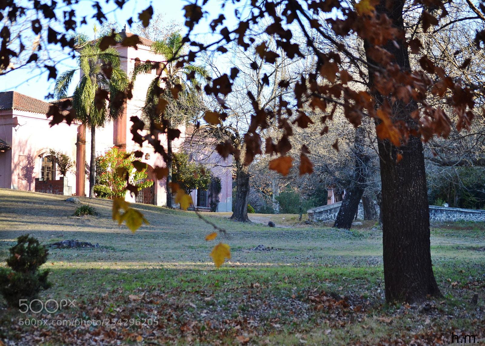 Nikon D3100 sample photo. Bcbdbe o photography