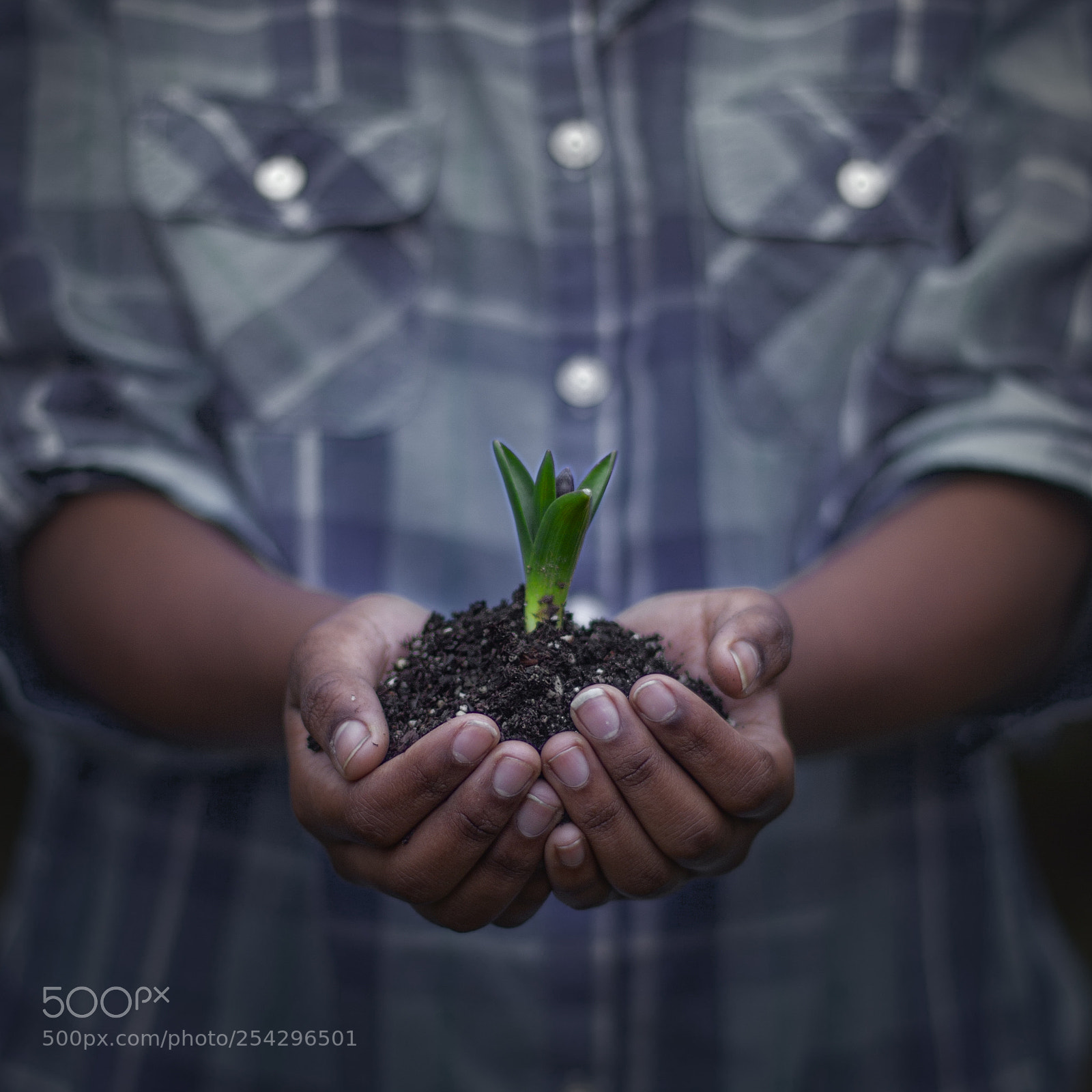 Canon EOS 5D Mark II sample photo. Earth day photography