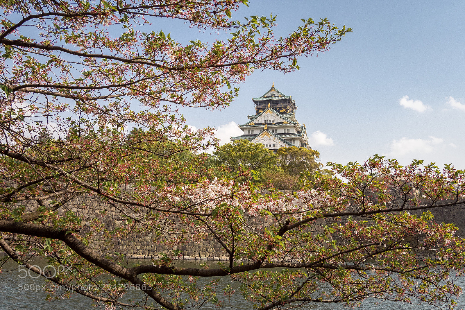 Olympus OM-D E-M5 II sample photo. Osaka castle photography