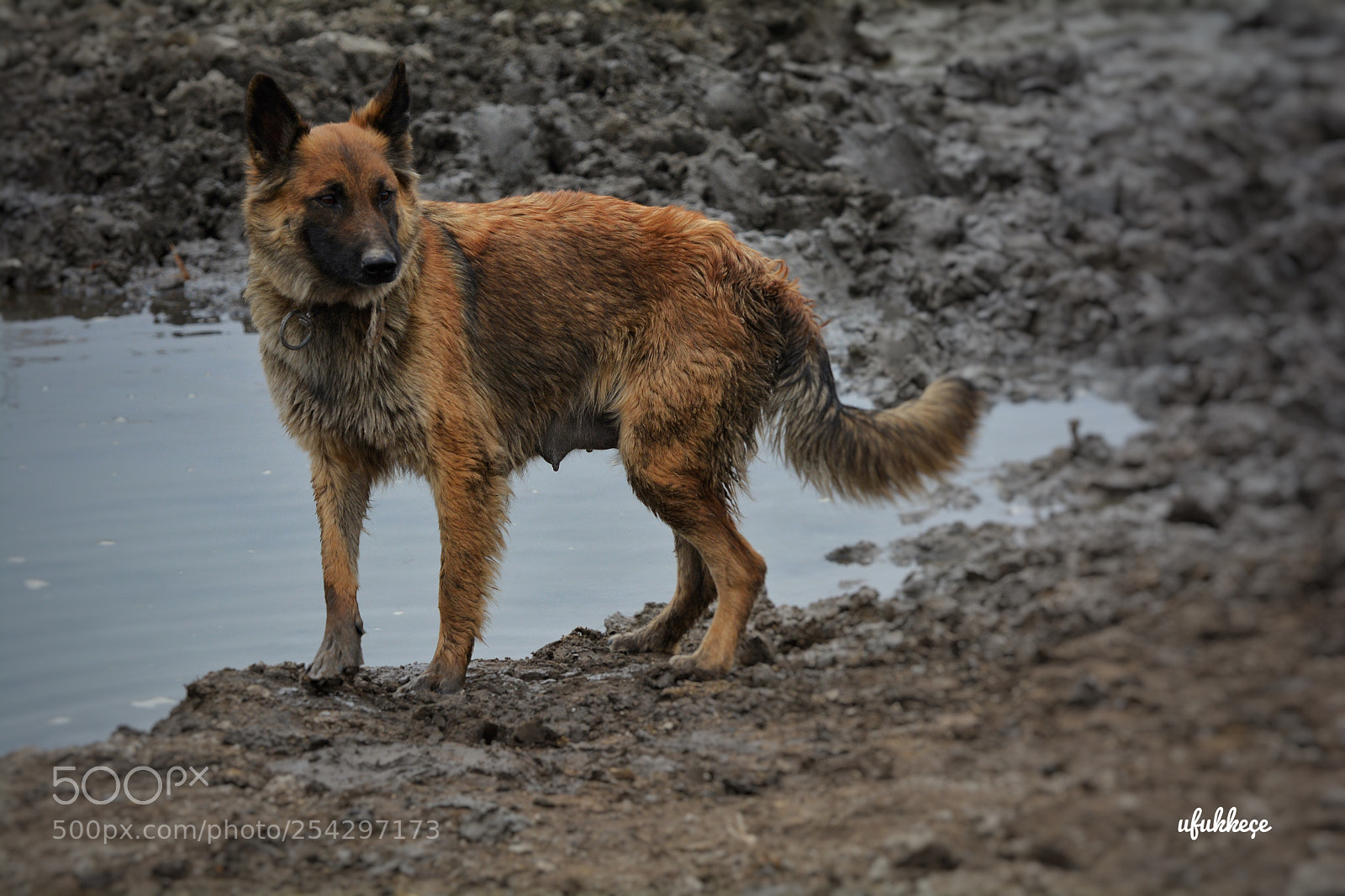 Nikon D5200 sample photo. Untitled photography