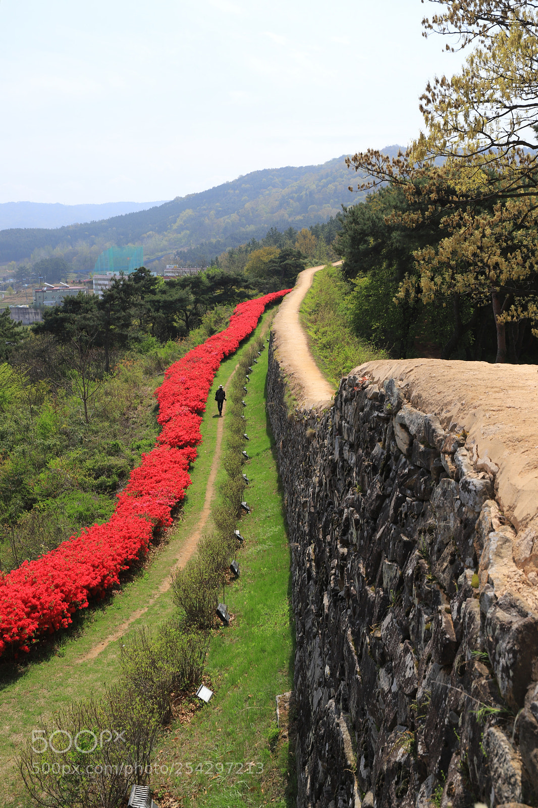 Canon EOS 6D Mark II sample photo. Path photography