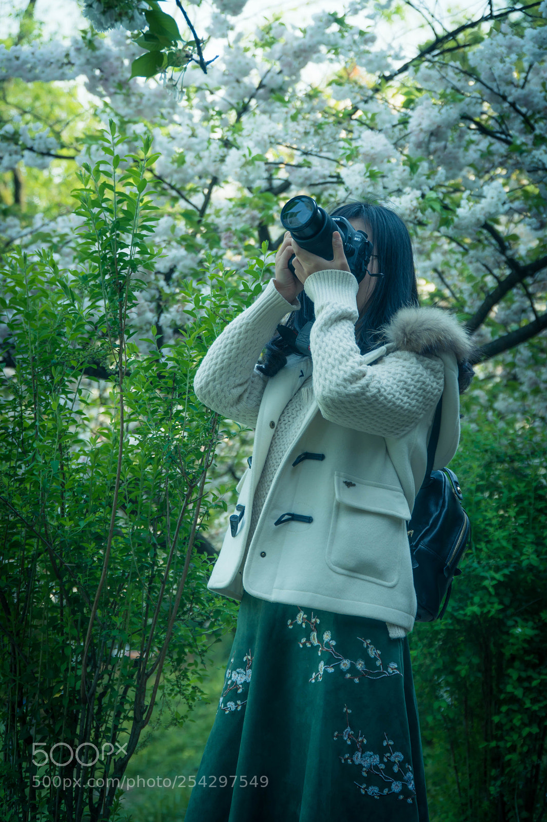Sony a6300 sample photo. 樱花树下的摄影少女 photography