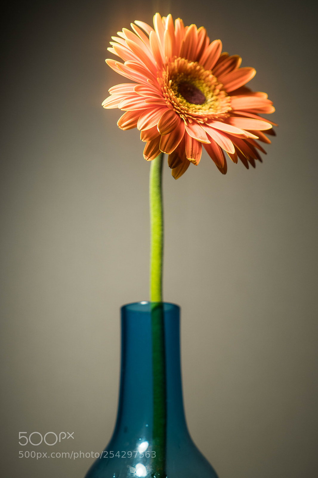 Sony a6500 sample photo. Dsc00883-2.jpg photography