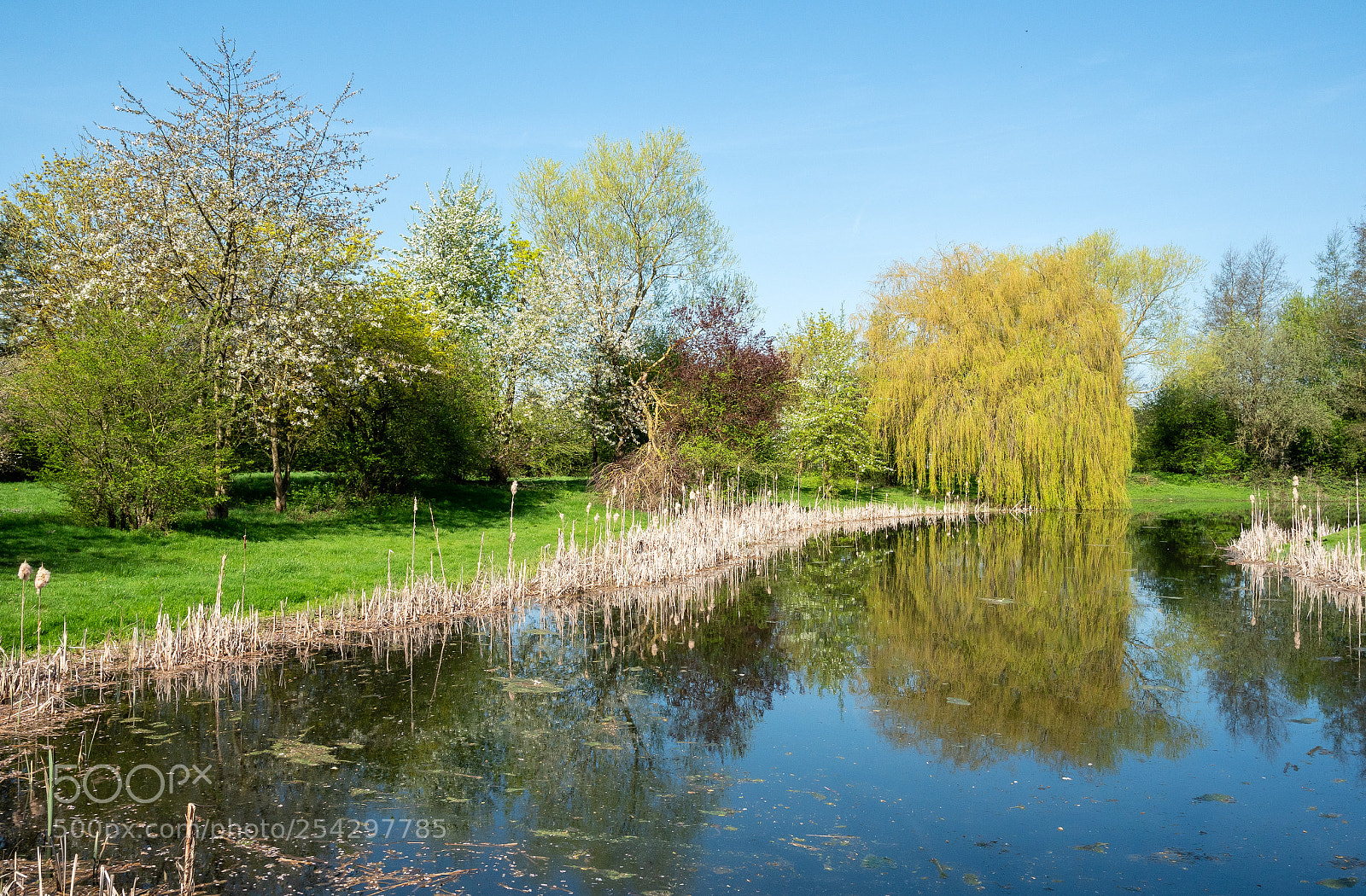 Panasonic Lumix DMC-GX8 sample photo. Reflections of spring photography