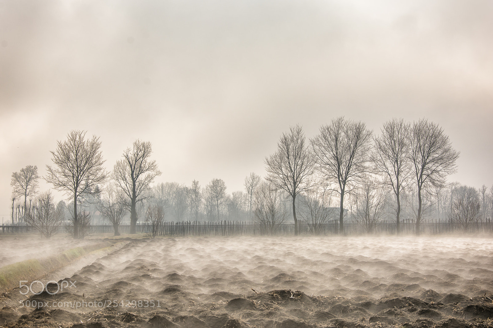 Nikon D7100 sample photo. Fliegende nebelfetzen photography