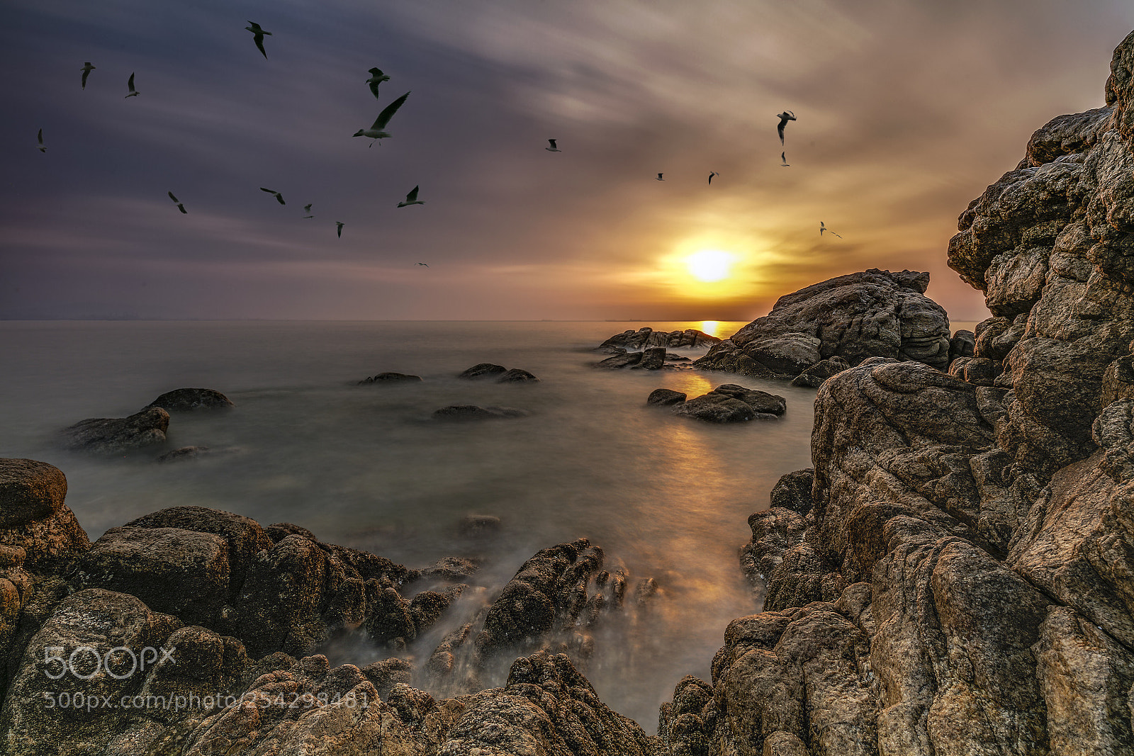 Canon EOS 5DS R sample photo. Flying  photography