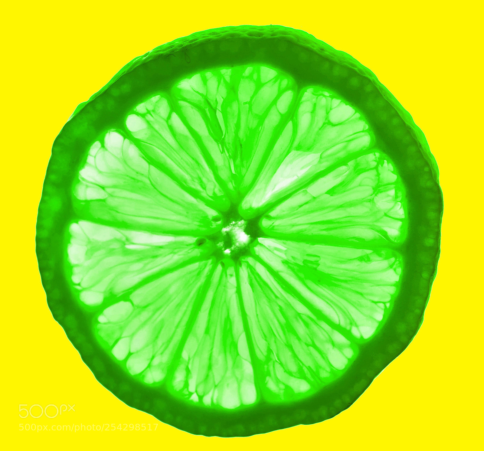 Nikon D7100 sample photo. Green yellow sq photography
