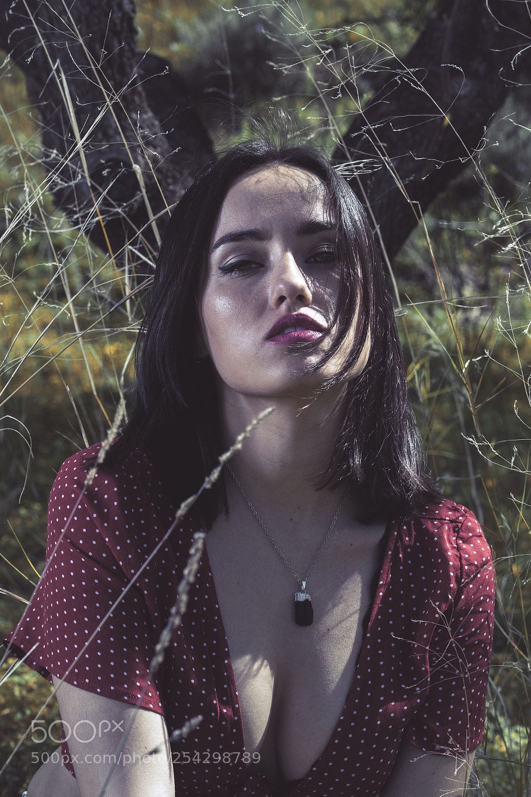 Sony a7 sample photo. Naturaleza photography