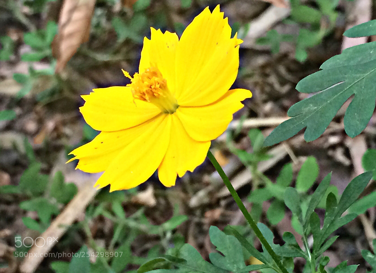 Apple iPhone 5s sample photo. Untitled photography