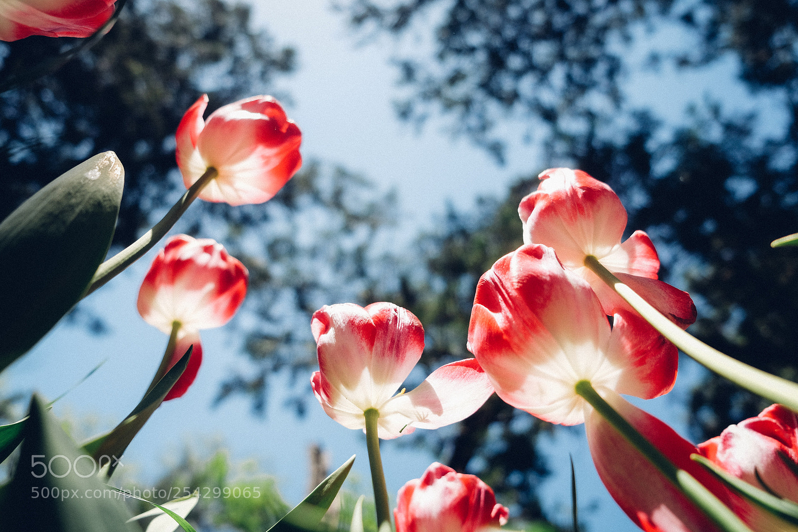 Fujifilm X-E2 sample photo. Look at the sky photography