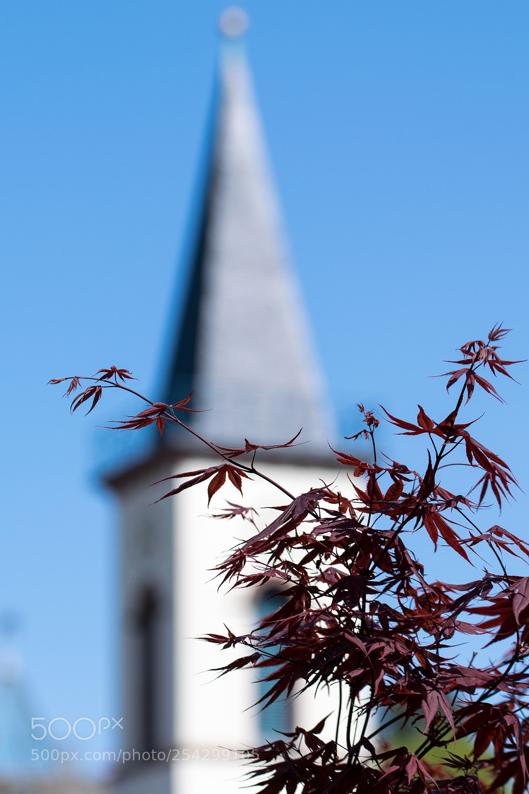 Nikon D3300 sample photo. Church photography