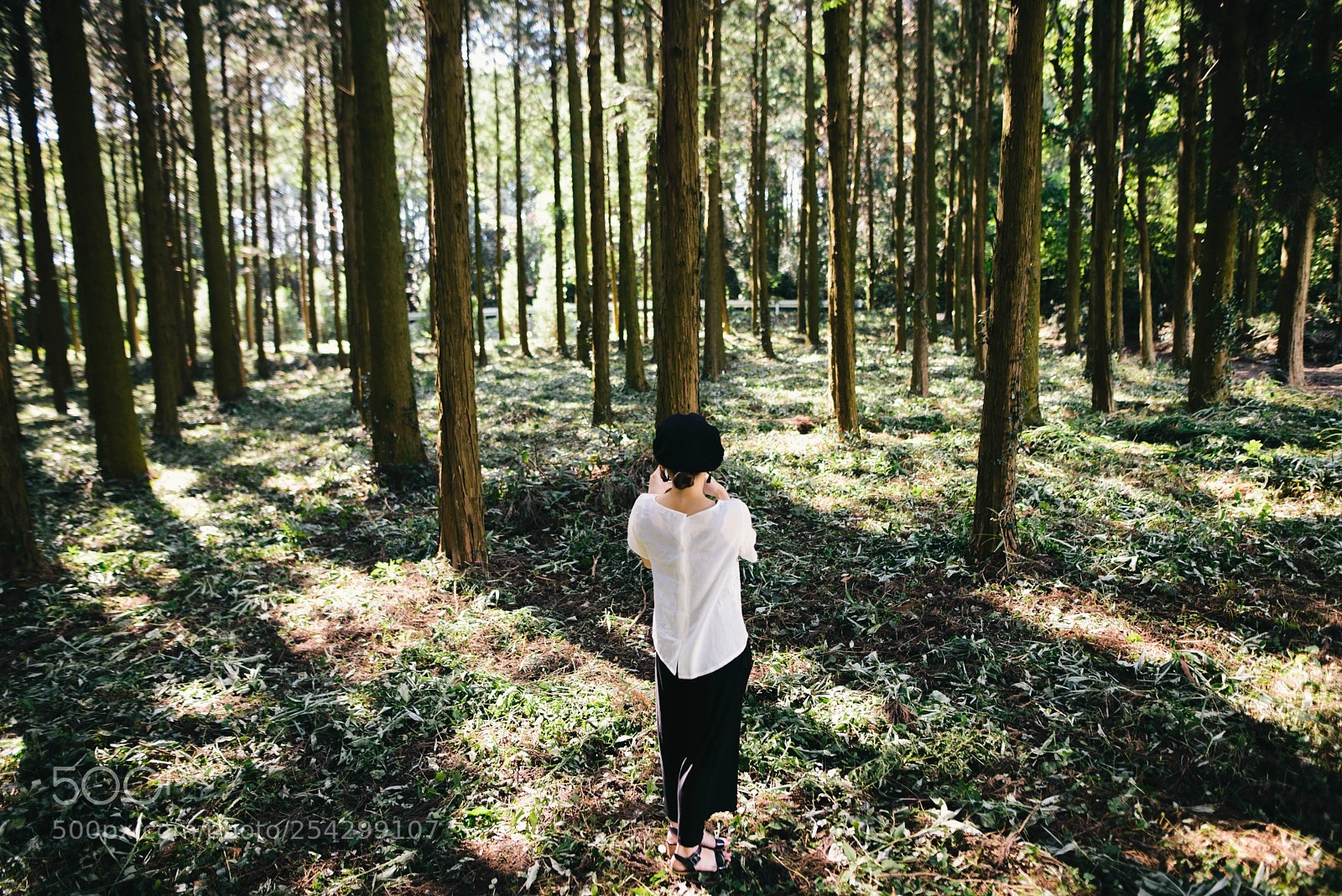 Nikon D610 sample photo. Untitled photography