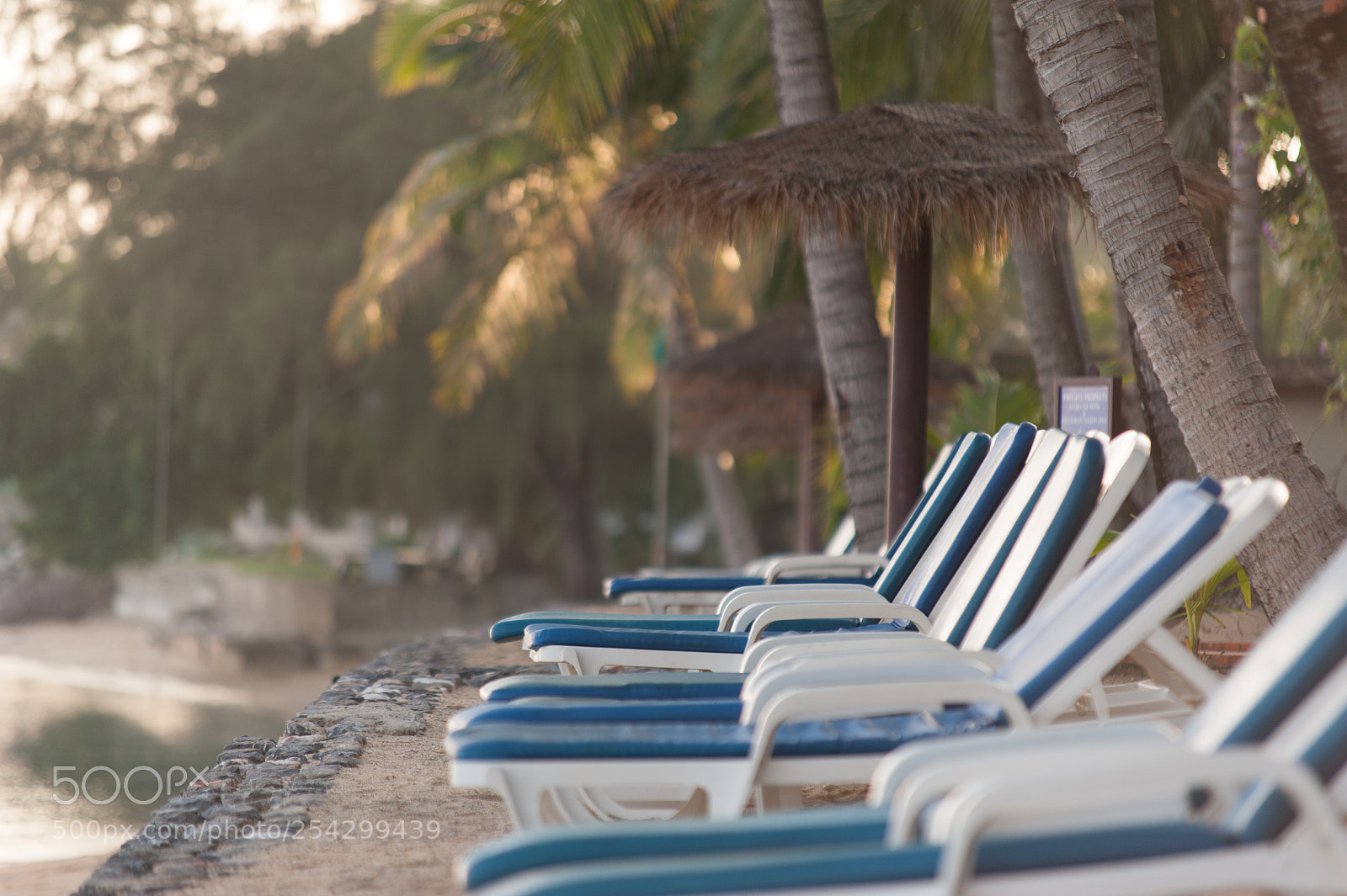 Nikon D700 sample photo. Silence & calm photography