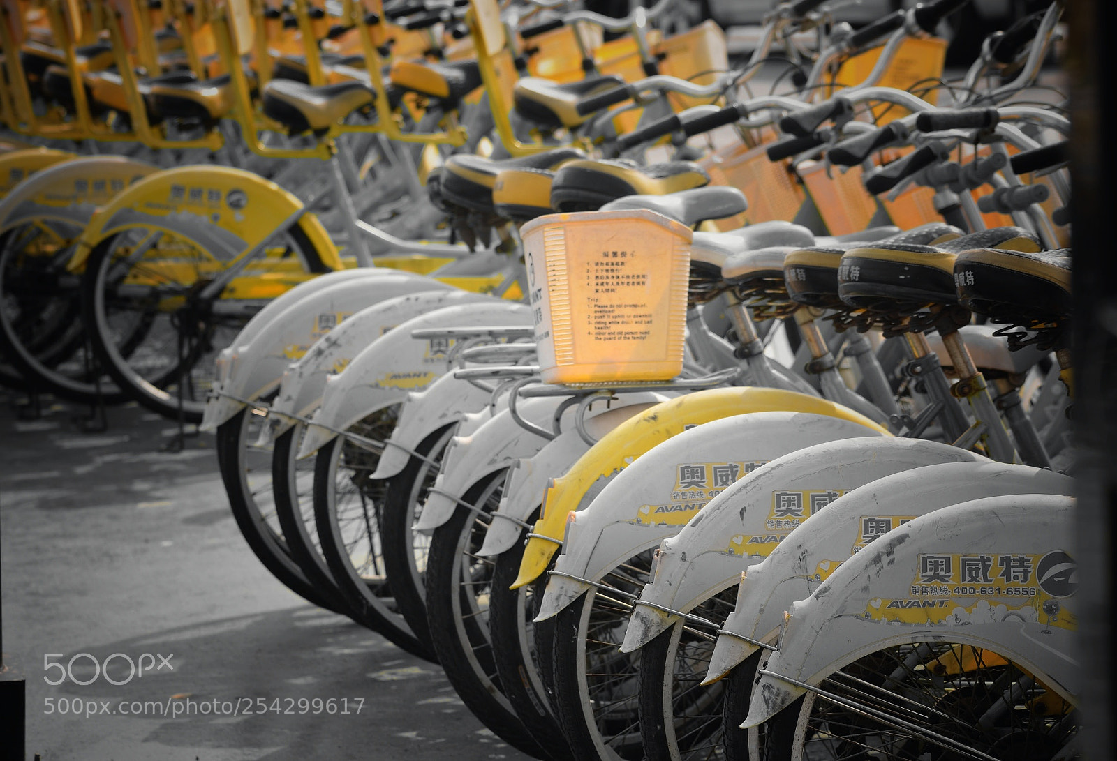 Nikon D5100 sample photo. Untitled photography