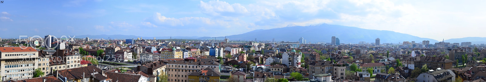 Nikon D5100 sample photo. Sofia photography