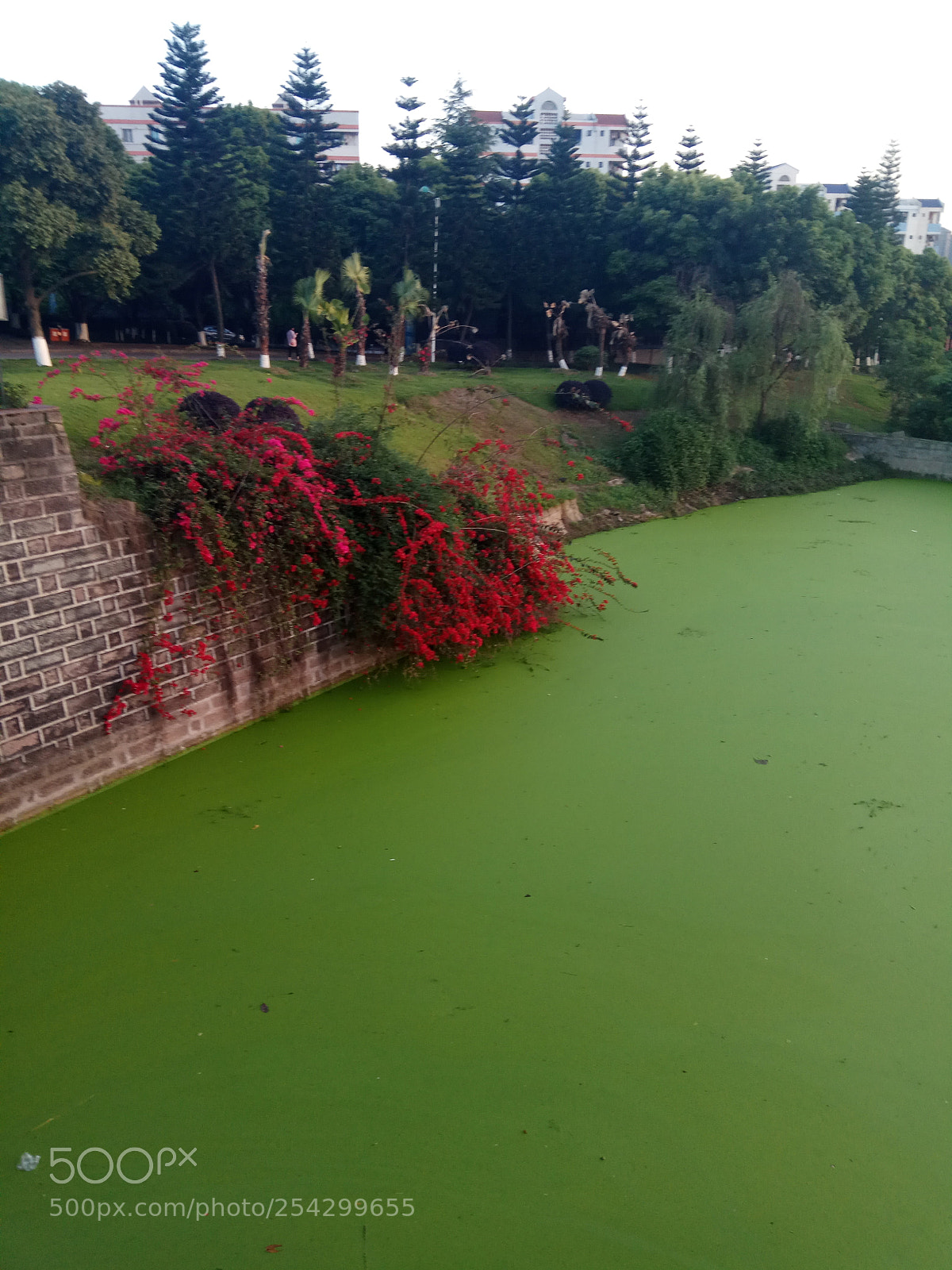 Xiaomi Redmi Note 4 sample photo. Untitled photography